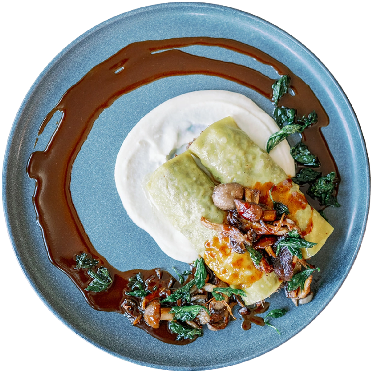 Delicate dish with cannelloni, brown sauce, and greens on a blue plate with no background.